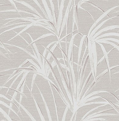 Song Grey Fountain Palm Wallpaper