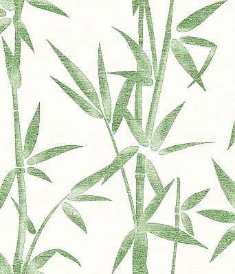 Catasetum Green Bamboo Wallpaper