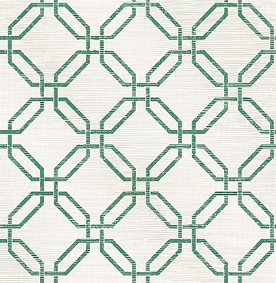 Phaius Green Trellis Wallpaper