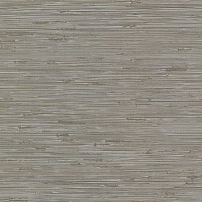 Lycaste Grey Weave Texture Wallpaper