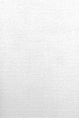 Lou Paintable Plaster Texture Wallpaper