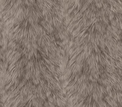 Trieste Taupe Wolf Wallpaper