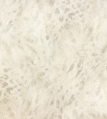 Umbria Ivory Jaguar Wallpaper