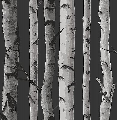 Distinctive Black Birch Tree Wallpaper