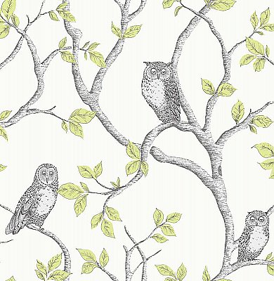 Linden Green Owl Wallpaper