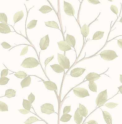 Beech Natural Leaf Wallpaper