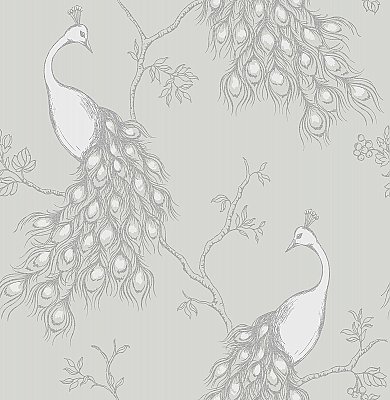 Phasia Grey Peacock Wallpaper