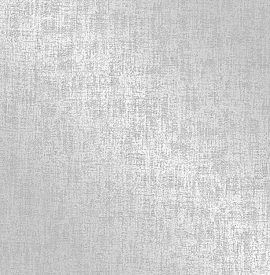 Asher Silver Distressed Wallpaper