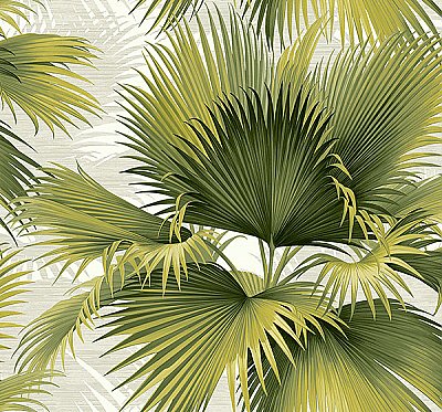 Summer Palm Green Tropical Wallpaper