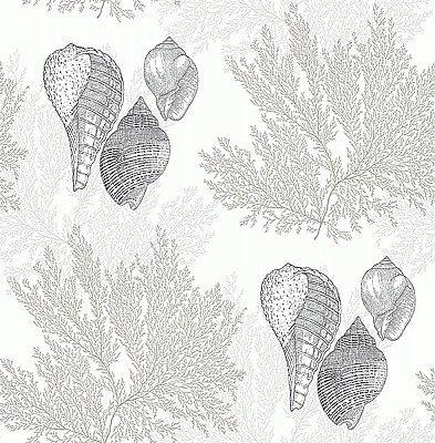Nauset Cream Seashell Shores Wallpaper