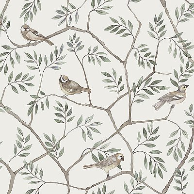Crossbill Off-White Branches Wallpaper