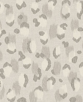 Javan Silver Leopard Wallpaper