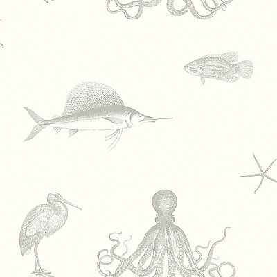 Oceania Grey Sea Creature Wallpaper