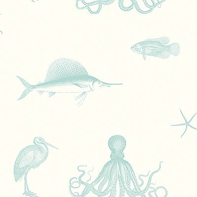 Oceania Aqua Sea Creature Wallpaper