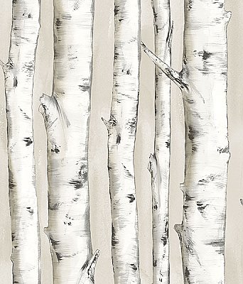 Pioneer Off-White Birch Tree Wallpaper