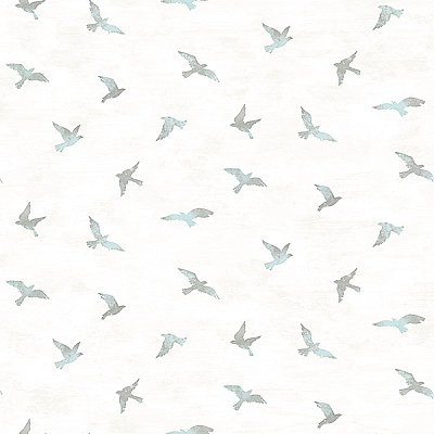Soar Turquoise Bird Wallpaper