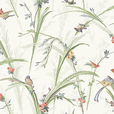 Meadowlark Light Green Botanical Wallpaper