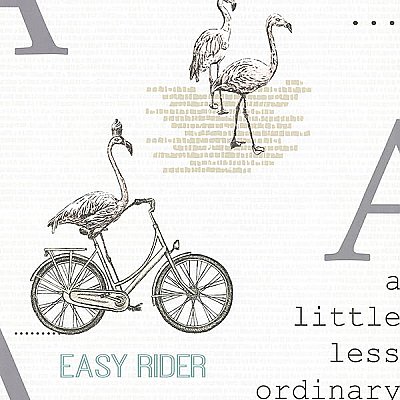 Aves Light Grey Graphic Wallpaper