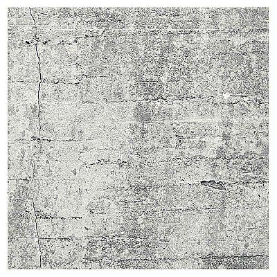 Absolute Concrete Light Grey Graphic Wall Mural