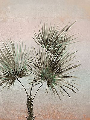 Durango Palm Ombre Wall Mural