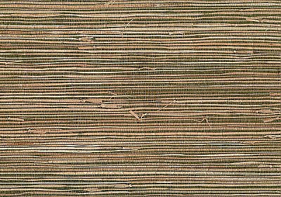 Mai Khaki Grasscloth Wallpaper