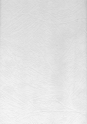 Crows Feet Drywall Texture Paintable Wallpaper