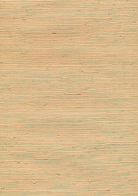 Hotaru Peach Grasscloth Wallpaper