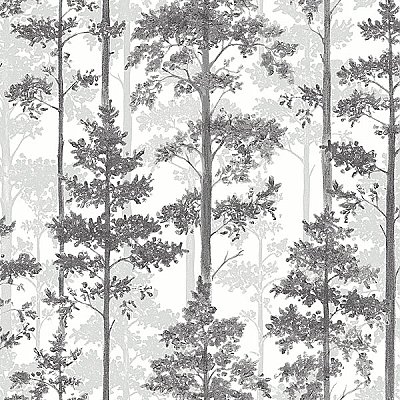 Pine Multicolor Silhouette Trees Wallpaper