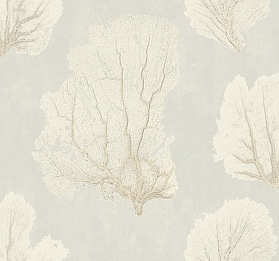 Coral Couture Wallpaper