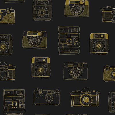 Pinkins Black Retro Camera Wallpaper