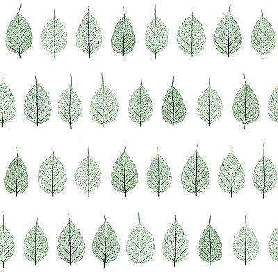 Greenhouse Green Leaves Wallpaper