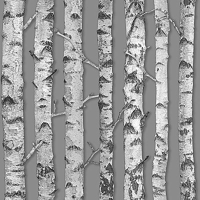 Merman Grey Birch Tree Wallpaper