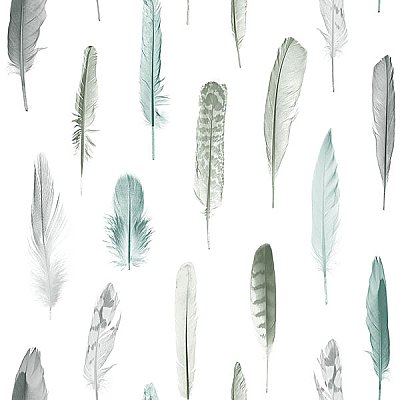 Nala Multicolor Feathers Wallpaper