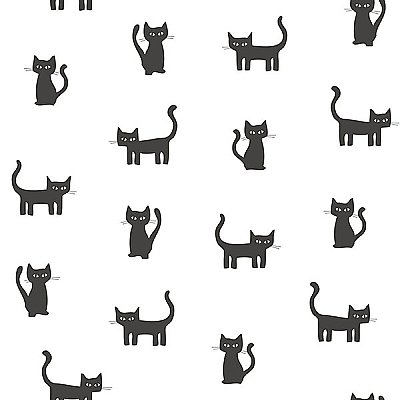 Salem Black Kittens Wallpaper