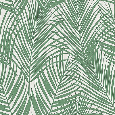 Fifi Green Palm Frond Wallpaper