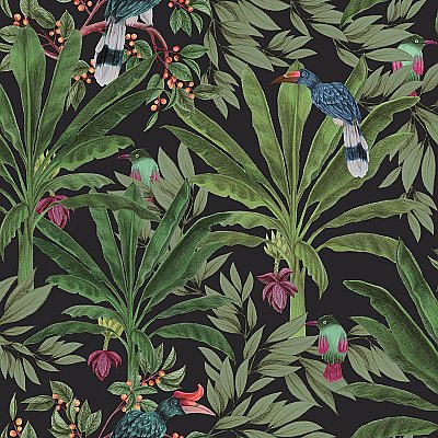 Carola Black Jungle Tropics Wallpaper