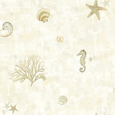 Boca Raton Beige Seashells Wallpaper