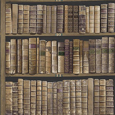Trinity Library Brown Book Wallpaper