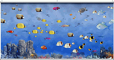 Tropical Undersea Minute Mural 121256