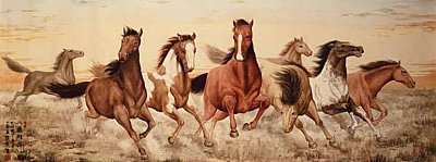 Wild Horses 4051