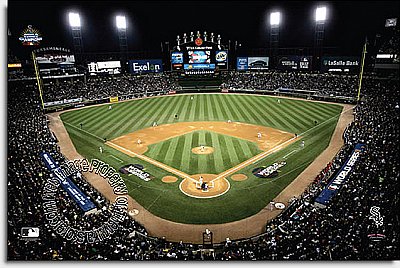 Chicago White Sox/U.S. Cellular Field Mural MSMLB-CWS-CNS12005S