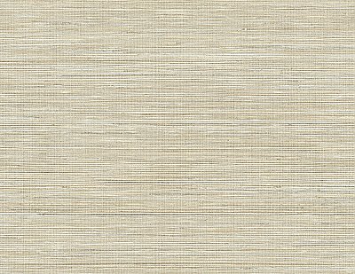 Baja Grass Brown Texture Wallpaper