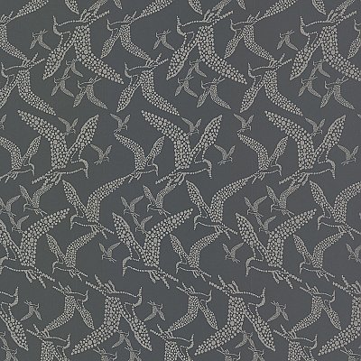 Lari Charcoal Bird Wallpaper