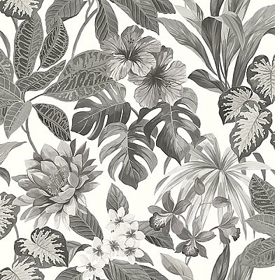 Josefa Ash Tropical Wallpaper