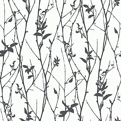 Paloma Black Spring Tree Wallpaper