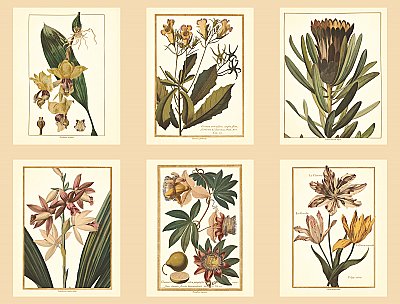 Ashford Toiles Botany Wallpaper