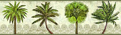 Delray Palm Border