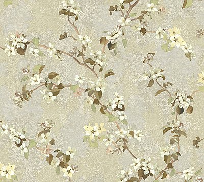 Apple Blossom Trail Wallpaper