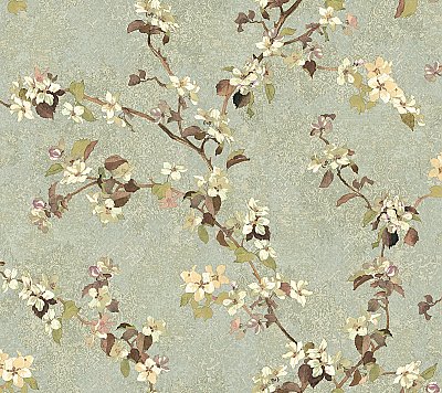 Apple Blossom Trail Wallpaper