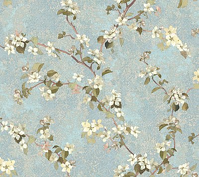 Apple Blossom Trail Wallpaper